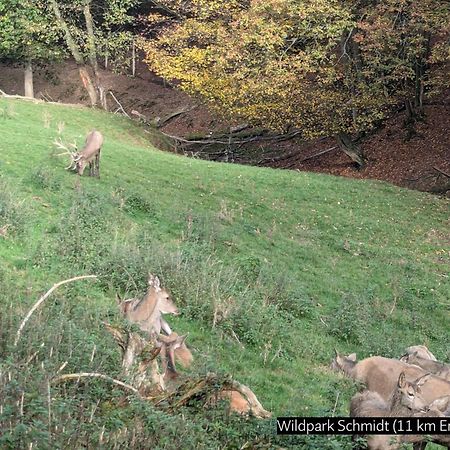 Eifel-Ferienhaus Landblick Hürtgenwald Exterior foto